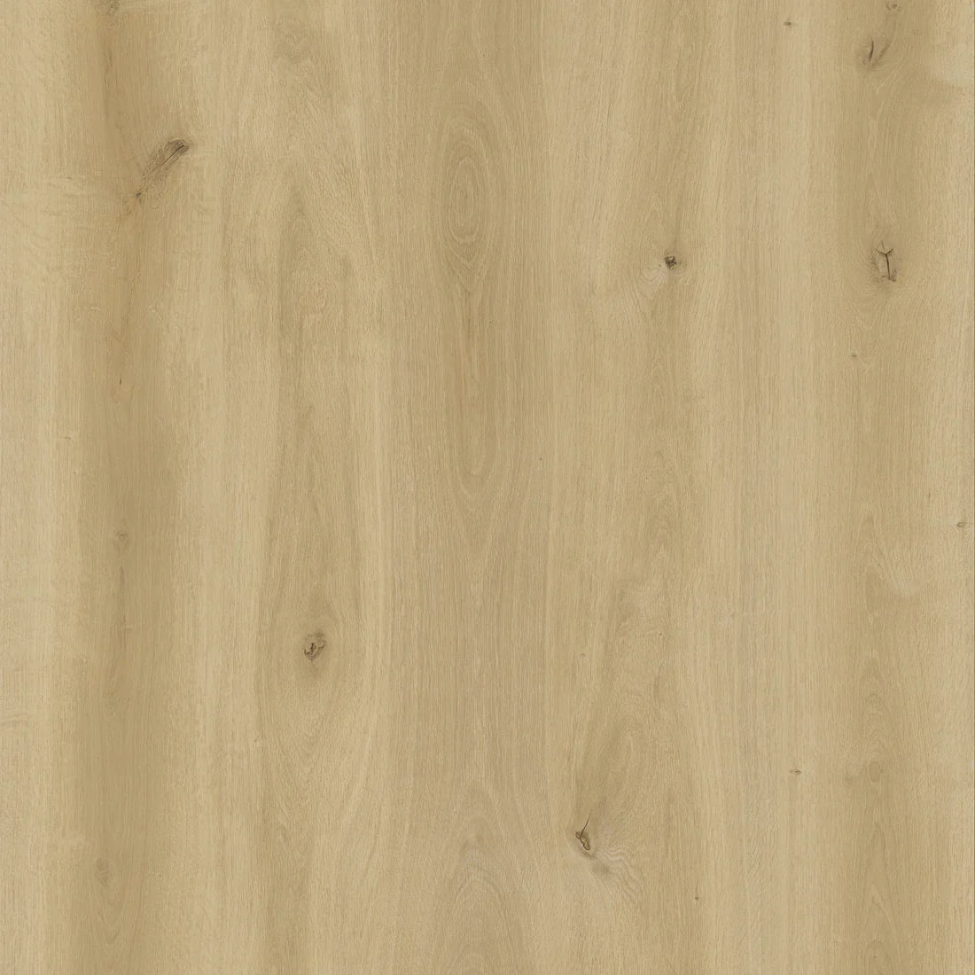 How to Choose the Best Flooring for Homes with Large Windows