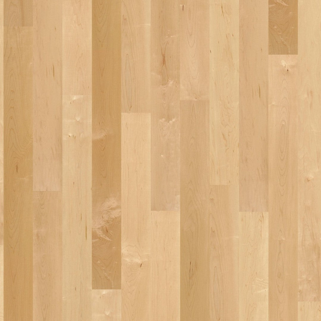 Boen Canadian Maple Andante 14mm Plank 138 - Matt Lacquer - Unbrushed